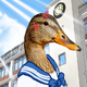 Illustration for article titled Free Game Is iWarioWare/i With Ducks em/em